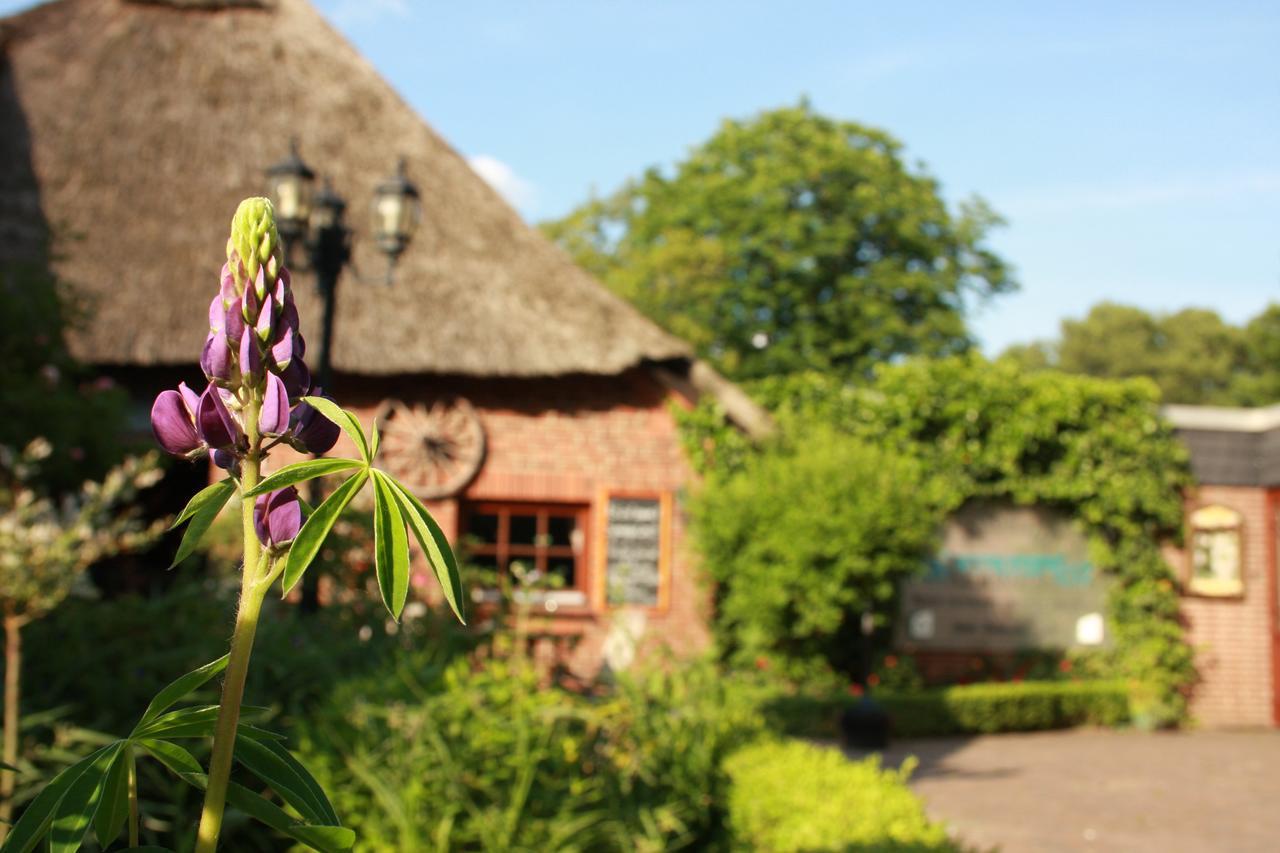Landhaus Absalonshorst Hotel Gross Gronau Bagian luar foto
